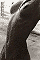 Erotic Women b/w 4