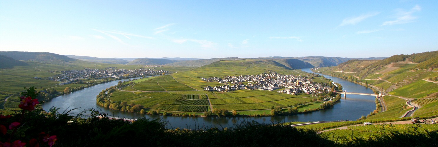 Moselschleife Trier