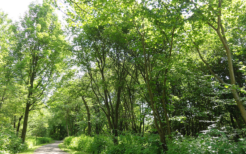 Duesseldorf