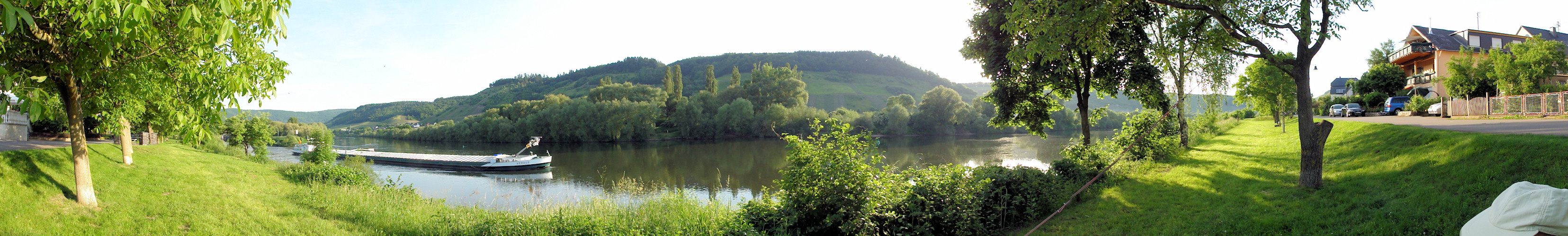 Detzem, Trier, Mosel, Fell 2010