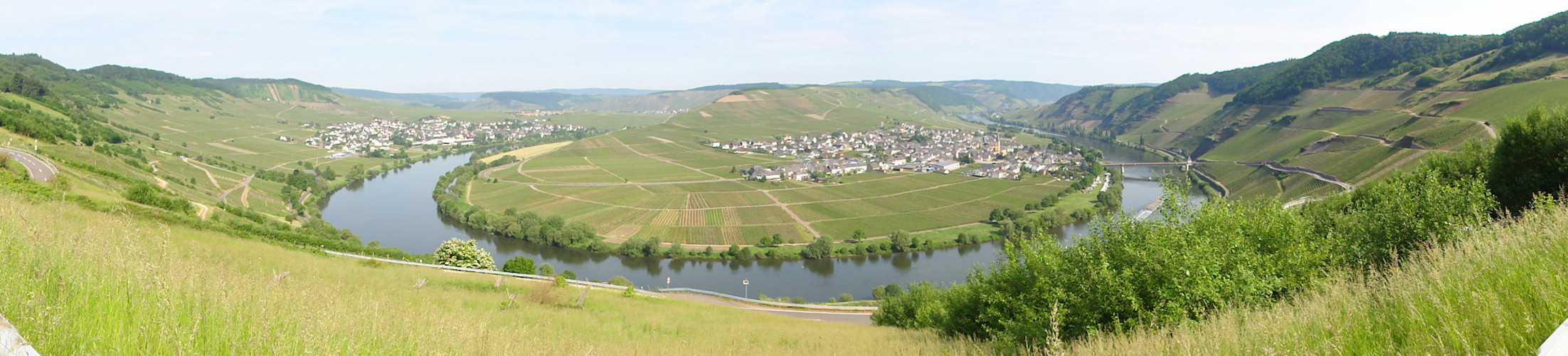 Detzem, Trier, Mosel, Fell 2010