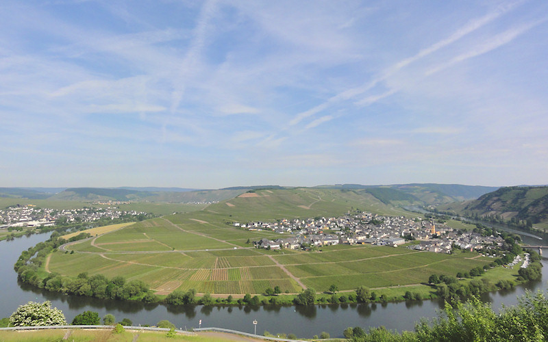Detzem, Trier, Mosel, Fell 2010