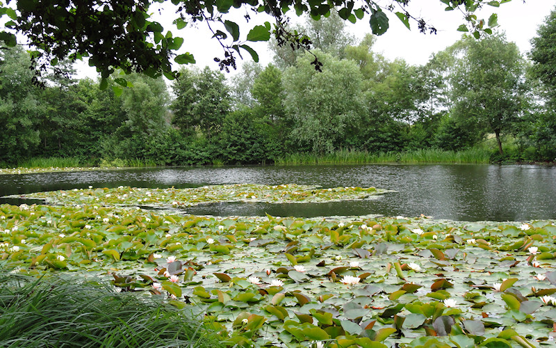 Duesseldorf