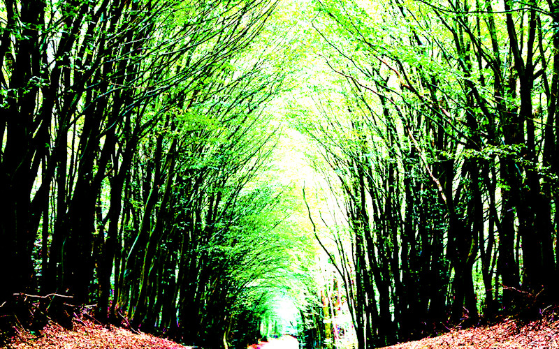 Scharbeutz August 2010