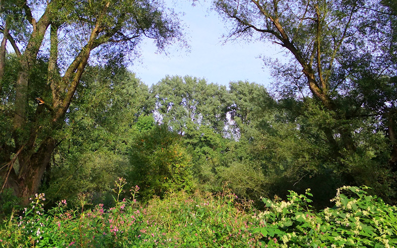 Duesseldorf
