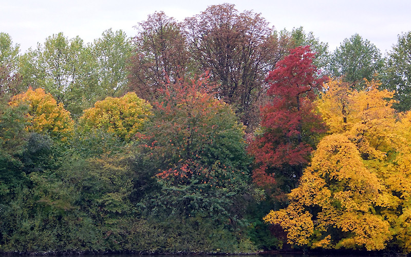 Duesseldorf