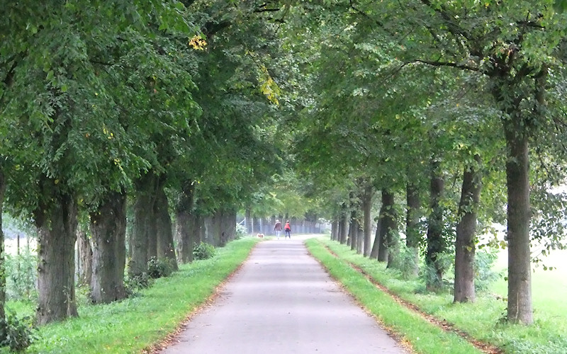 Duesseldorf
