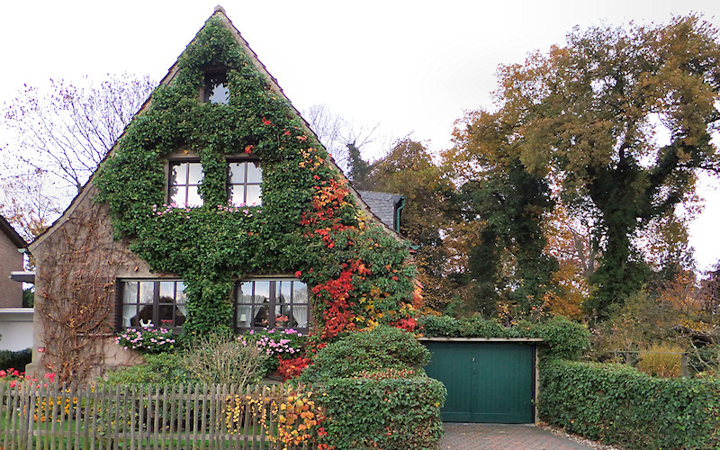 Duesseldorf