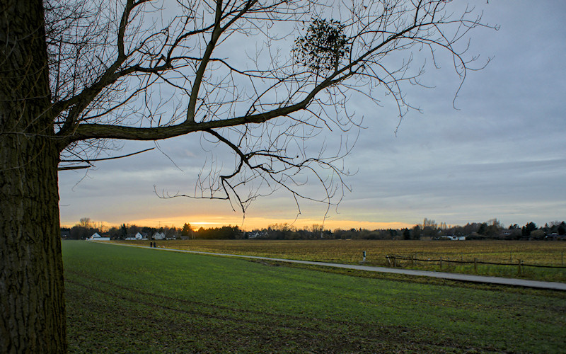 Duesseldorf