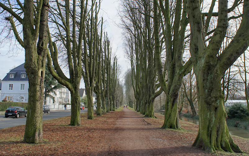 Duesseldorf