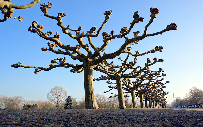 Duesseldorf