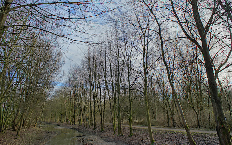 Duesseldorf
