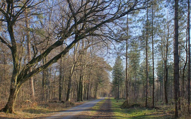 Duesseldorf