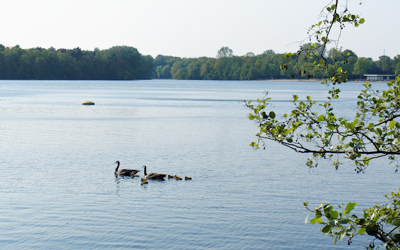 Duesseldorf
