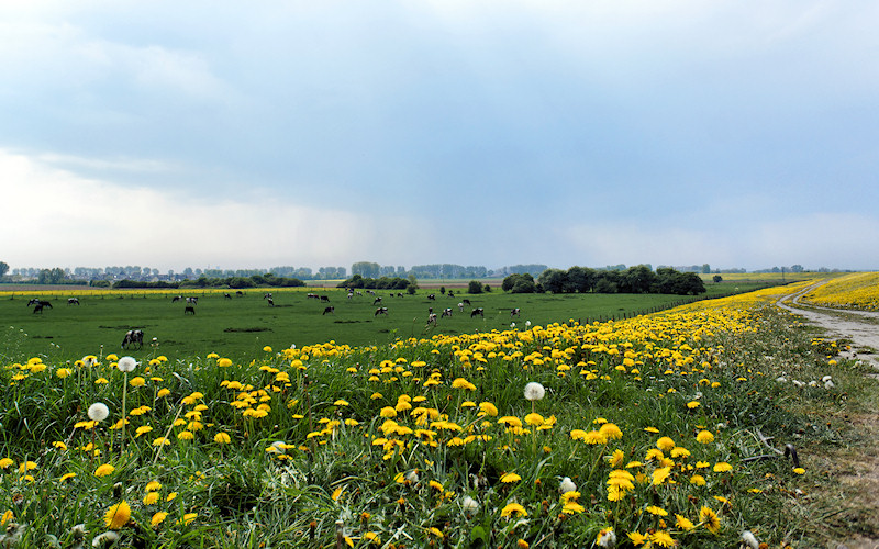 Xanten - Niederrhein