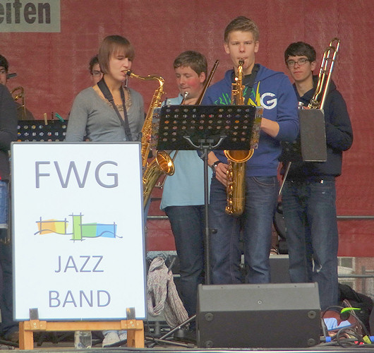 Mosel - Trier - Detzem - Juni 2011