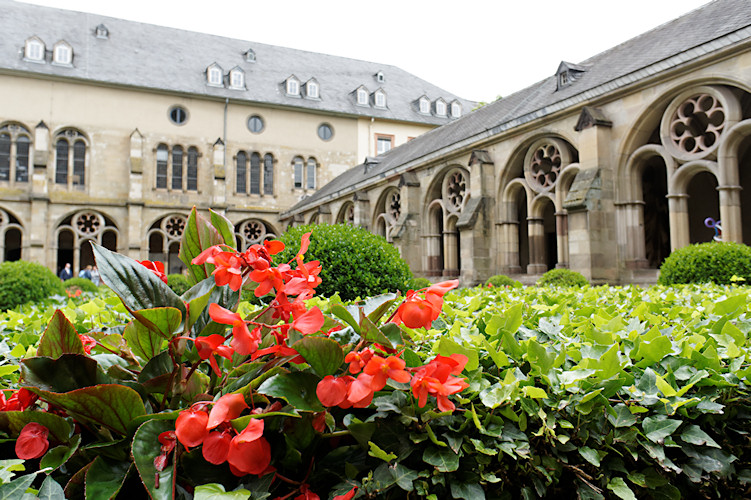 Mosel - Trier - Detzem - Juni 2011