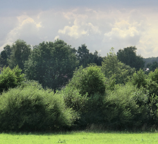 Luebecker Bucht - 2011