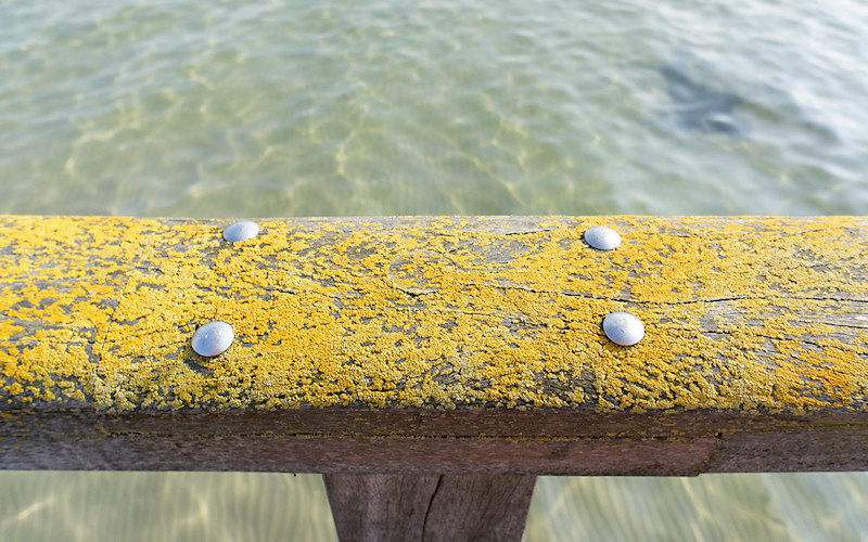 Luebecker Bucht - 2011