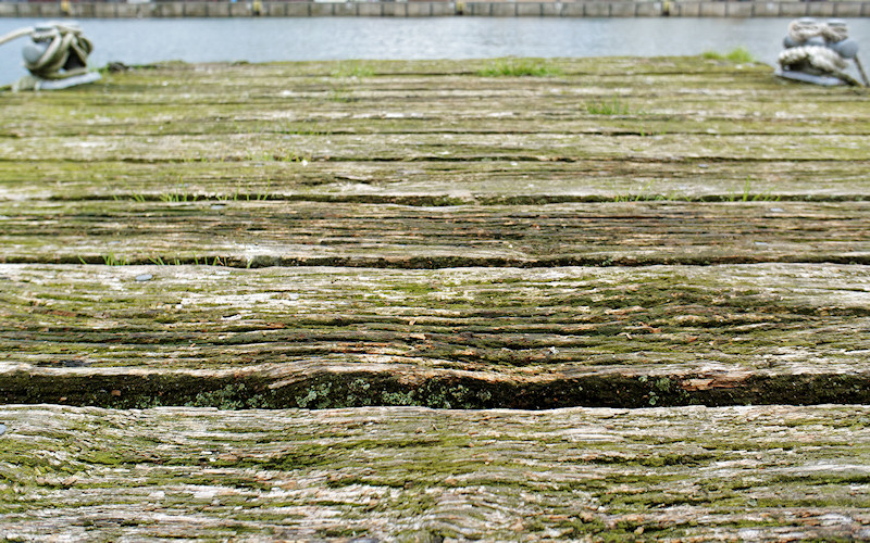Luebecker Bucht - 2011