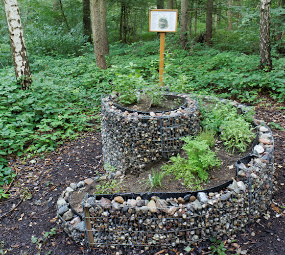 Luebecker Bucht - 2011
