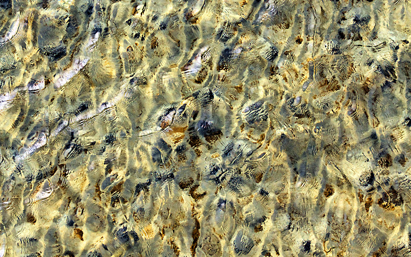 Luebecker Bucht - 2011