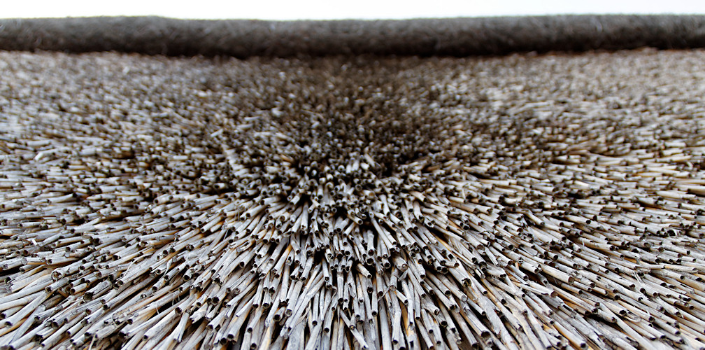 Luebecker Bucht - 2011