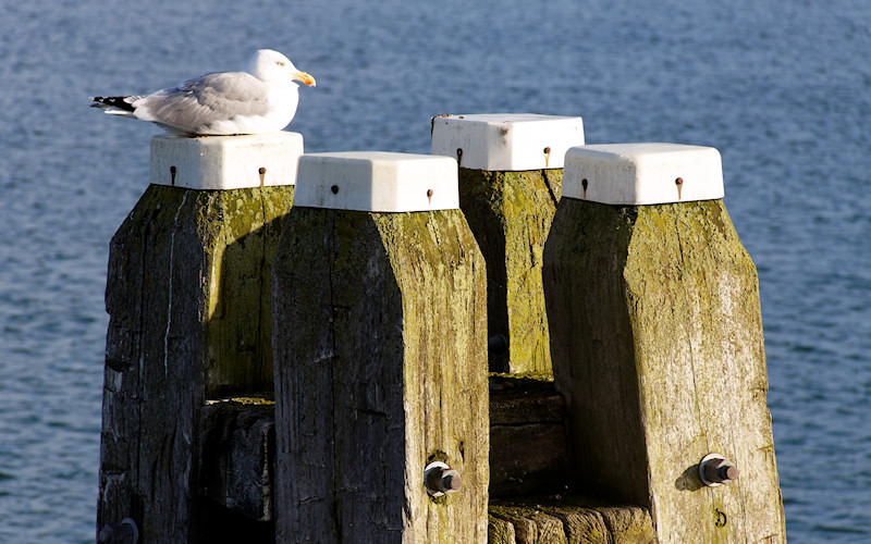 Luebecker Bucht - 2011