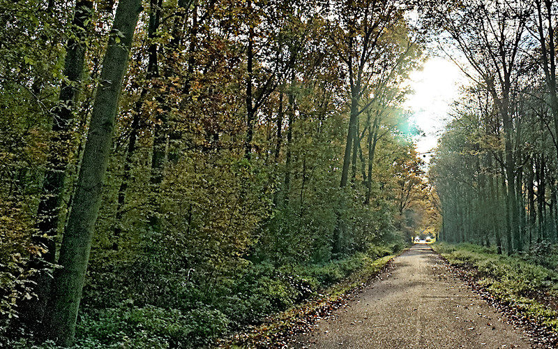 Duesseldorf