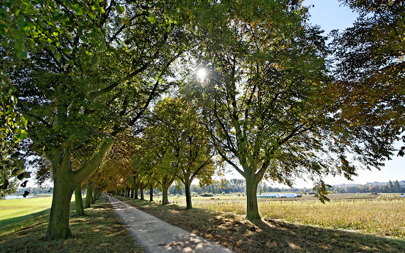 Duesseldorf