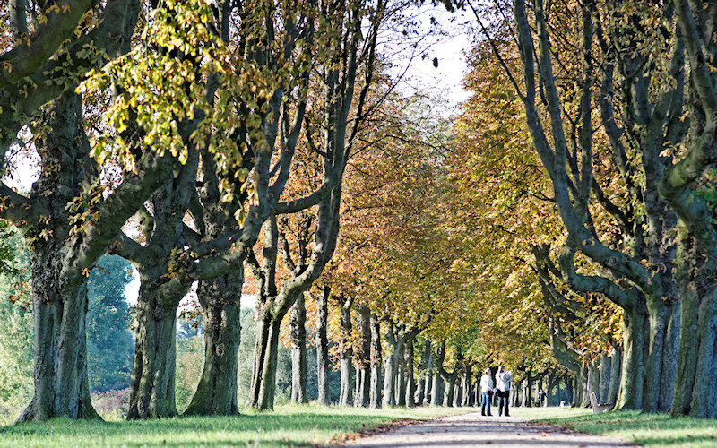 Duesseldorf