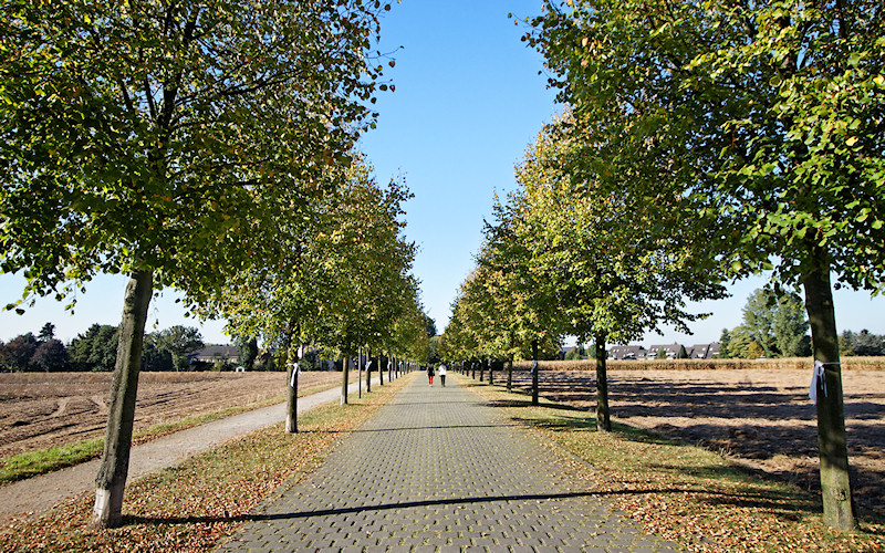 Duesseldorf