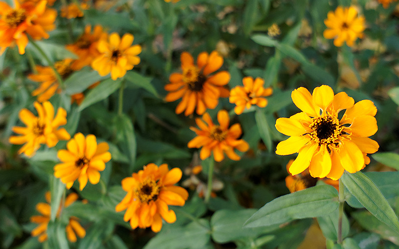 Duesseldorf
