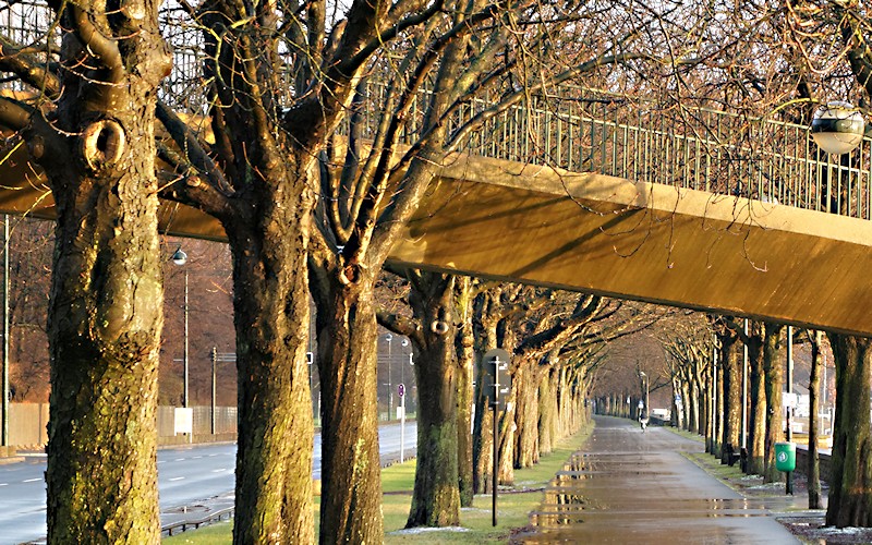 Duesseldorf